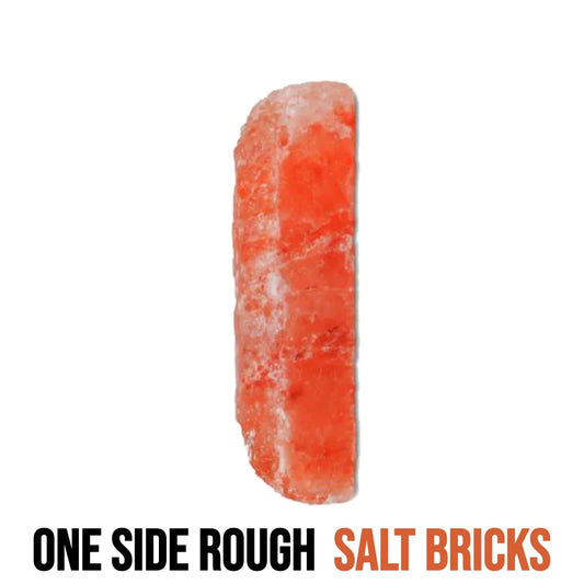 ONE SIDE Rough SALT BRICKS