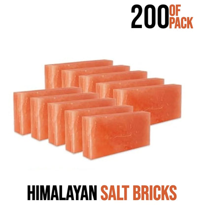 Wholesale Himalayan Salt Bricks 8" x 4" x 2" - Pack 200